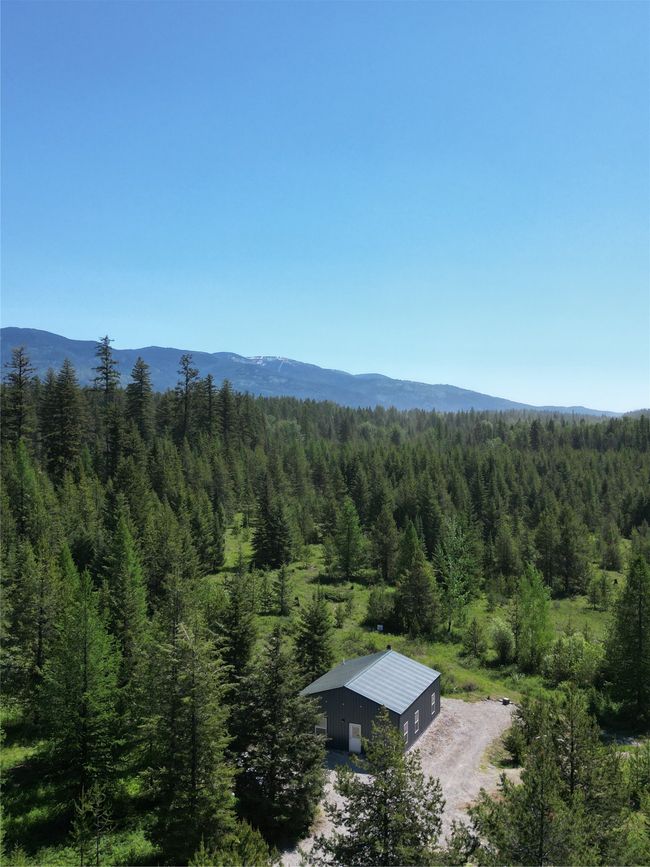 Drone / aerial view of a heavily wooded area and a mountainous background | Image 24
