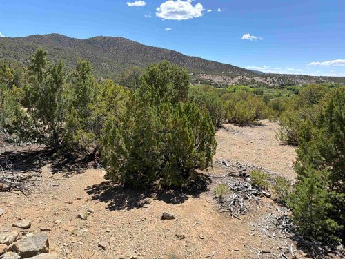 tbd Off Nm 518 Lot 7, Taos, NM, 87571 | Card Image