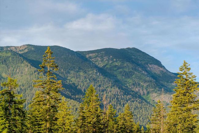 1210 Grand Fir Rd, House other with 3 bedrooms, 1 bathrooms and null parking in Bigfork MT | Image 42