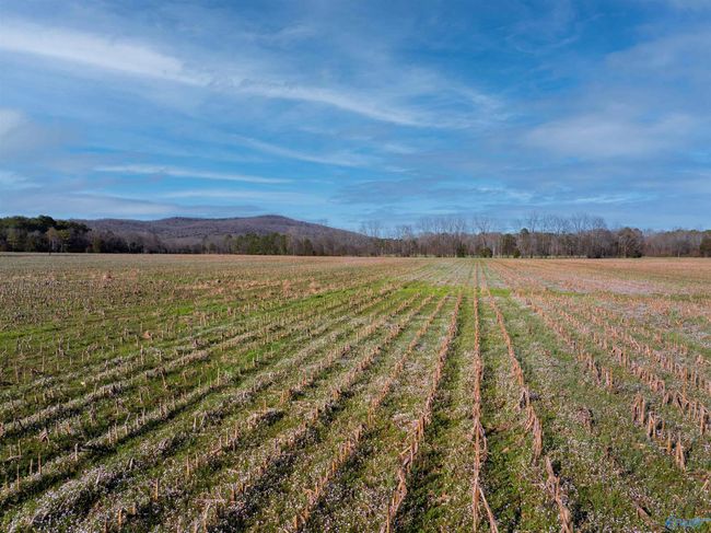 50 Acres Hurt St, Home with 0 bedrooms, 0 bathrooms and null parking in Hollywood AL | Image 9