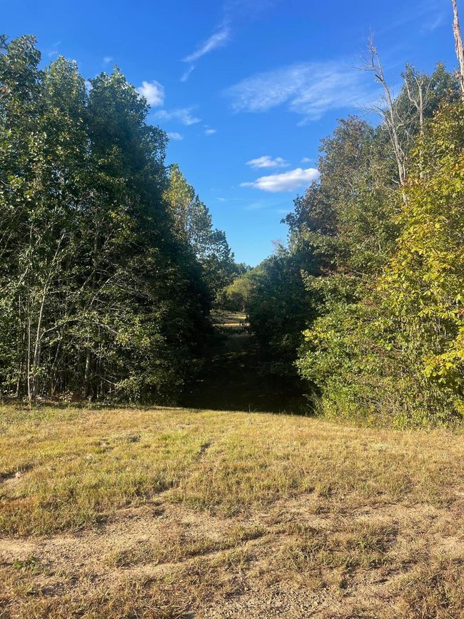450 County Road 28, House other with 4 bedrooms, 3 bathrooms and null parking in Calhoun TN | Image 115