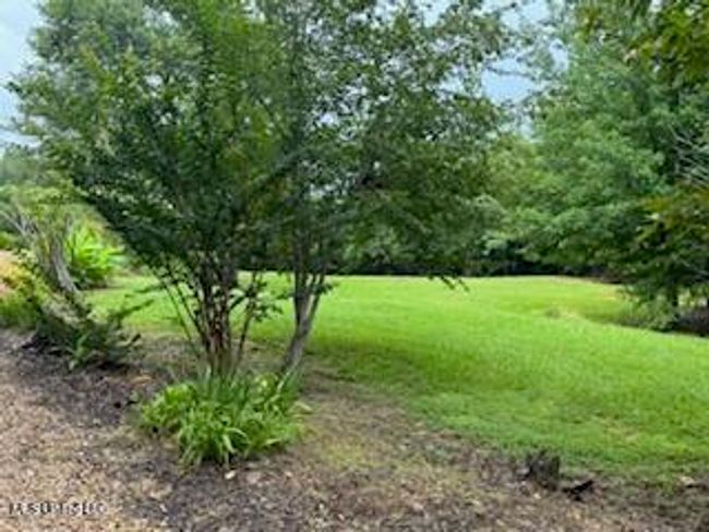 grounds 7 | Image 62
