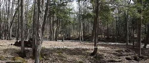lot 4 Future Lane, Stirling Rawdon, ON, K0K2M0 | Card Image