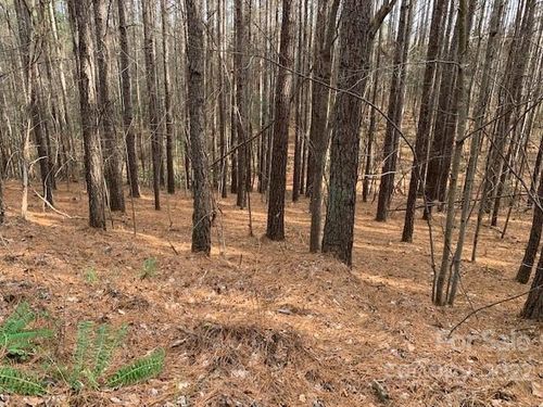 16-0 Chasewood Dr, Rutherfordton, NC, 28139 | Card Image