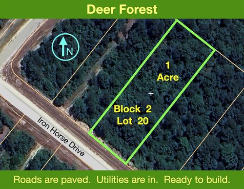 194 Iron Horse Rd, New Waverly, TX, 77358 | Card Image