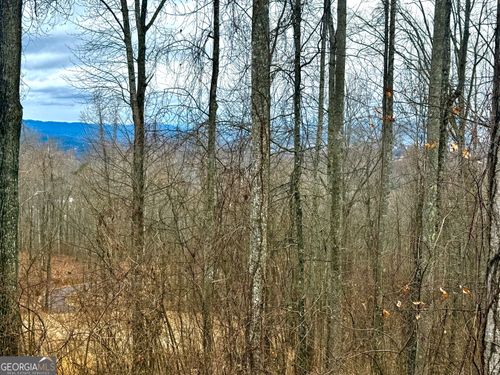 7-LOT 7 Rocky Knob, Young Harris, GA, 30582 | Card Image