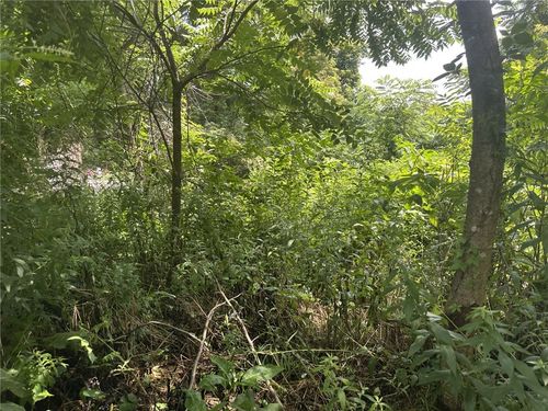 4 Ann Marie Ct, Murrysville, PA, 15632 | Card Image