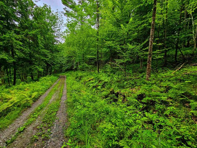 873 Royston Rdg, House other with 2 bedrooms, 0 bathrooms and null parking in Wells River VT | Image 30