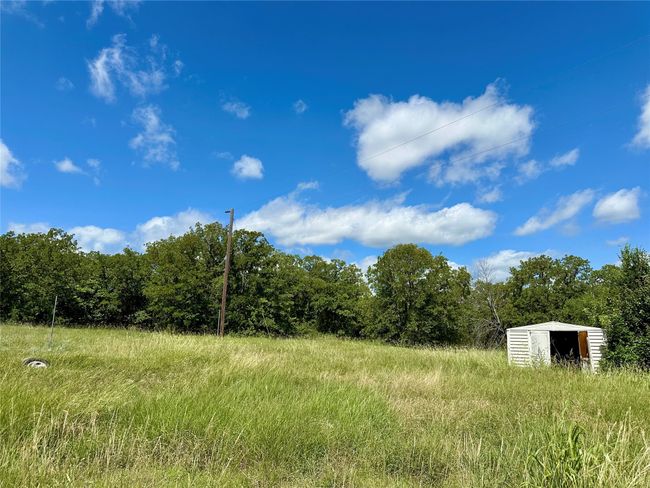 View of wooded area | Image 9