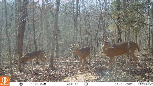 0 Bayberry Ln, Climax Springs, MO, 65324 | Card Image