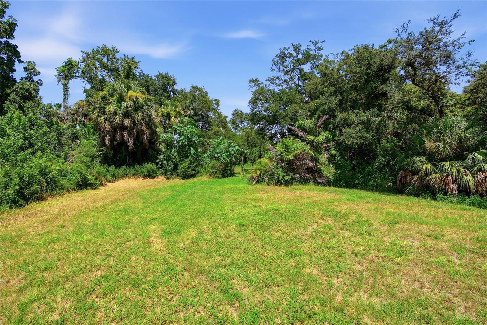 Land in TAMPA 5
