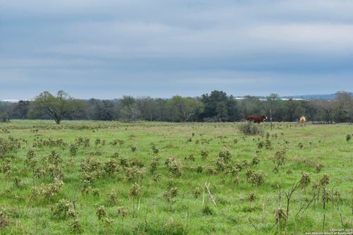 LOT 6 Tenney Creek Road, Luling, TX, 78648 | Card Image