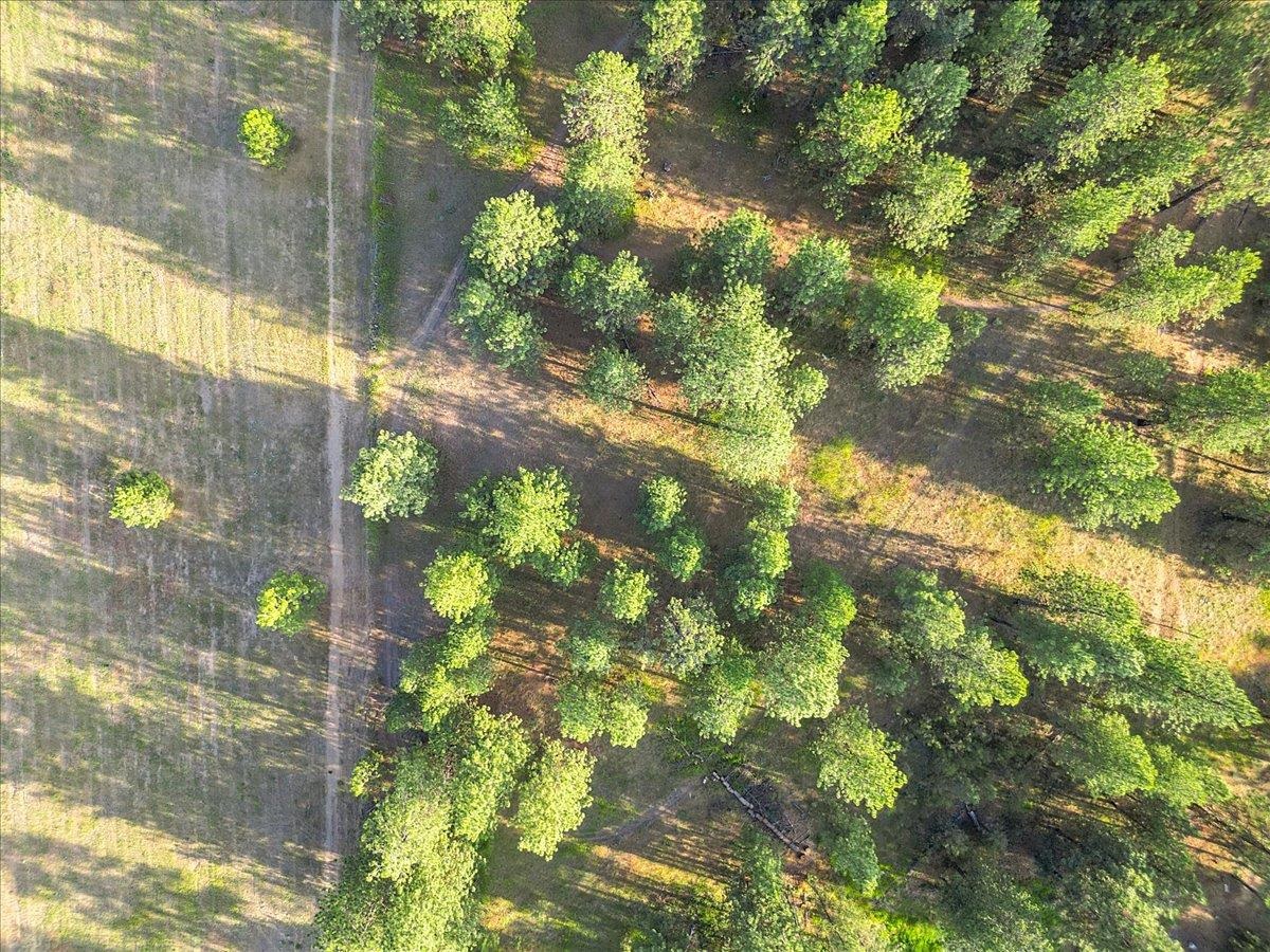 Land in Spokane 5