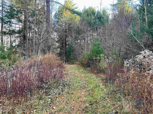 0 Yale Heights Rd, Brownsville, VT, 05037 | Card Image