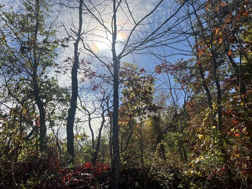 4 Clyde Webb Dr, Tennessee Ridge, TN, 37178 | Card Image