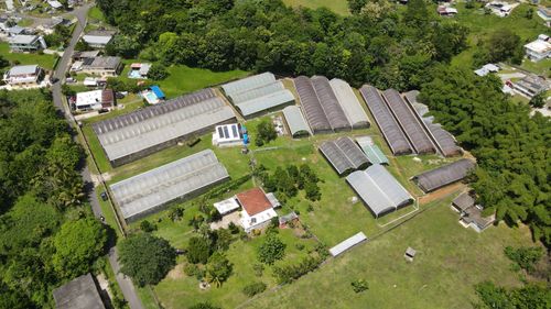 137 Km. 9.9 Bo. Franquez La Alianza, Morovis, PR, 00687 | Card Image