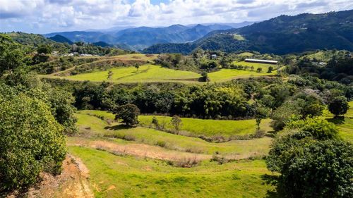 Road 152 Camino Las Orquideas Road, Barranquitas, PR, 00794 | Card Image