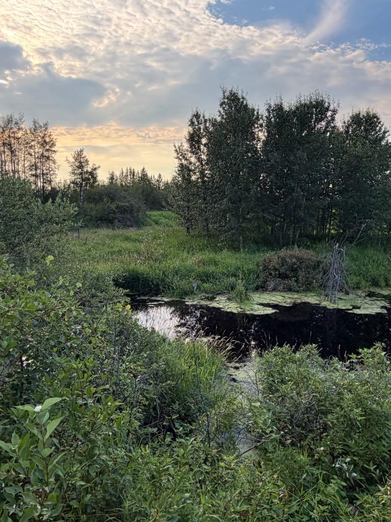 Land in Marwayne 4