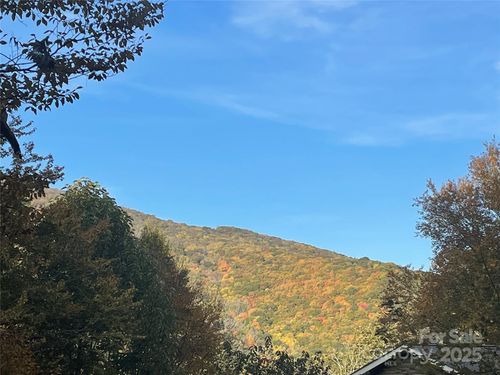 96-96 Chestnut Ln, Mars Hill, NC, 28754-9390 | Card Image