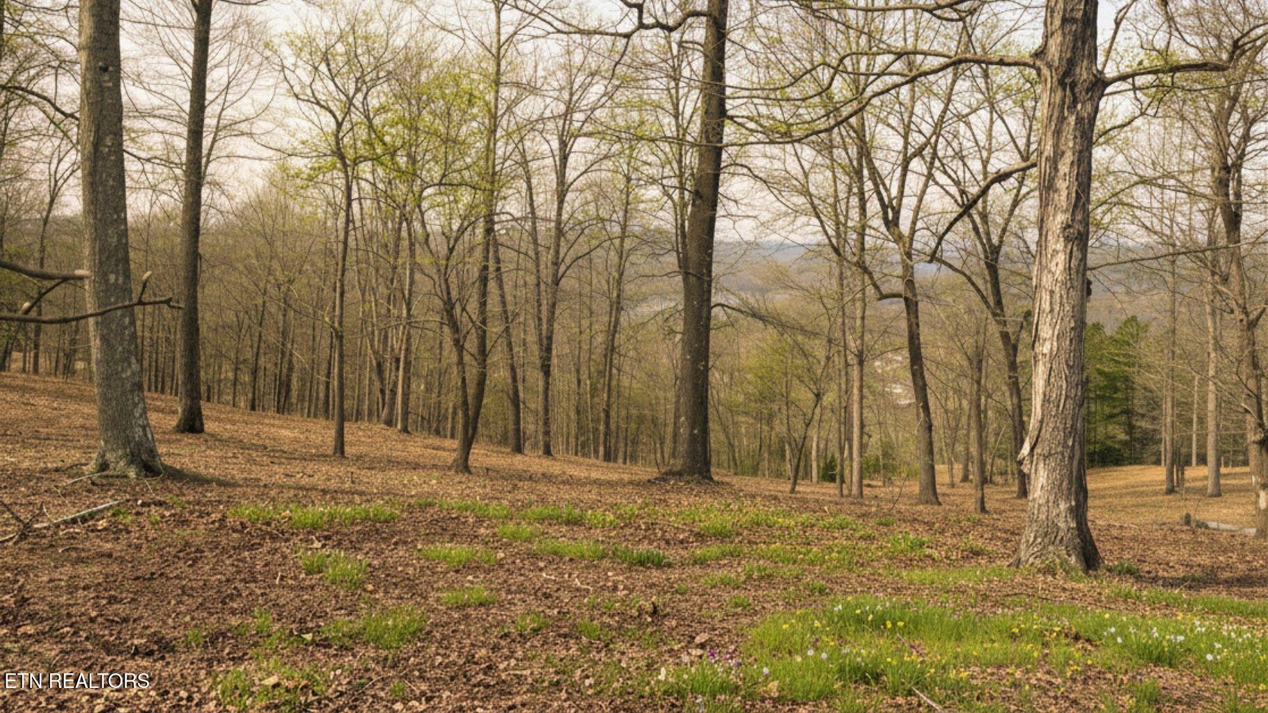 Land in LaFollette 4