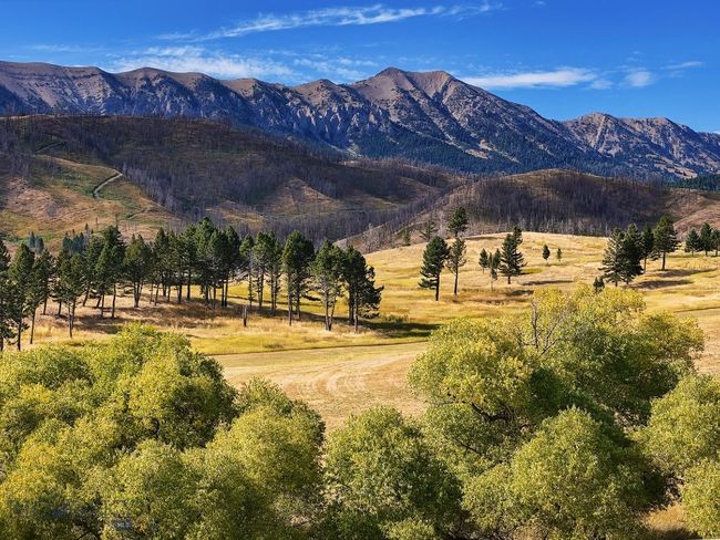 7180 Tepee Ridge Rd, House other with 3 bedrooms, 3 bathrooms and null parking in Bozeman MT | Image 74