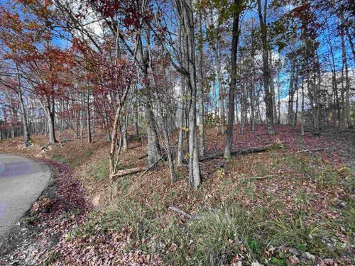 TBD Dodson Run Rd, Beverly, WV, 26253 | Card Image