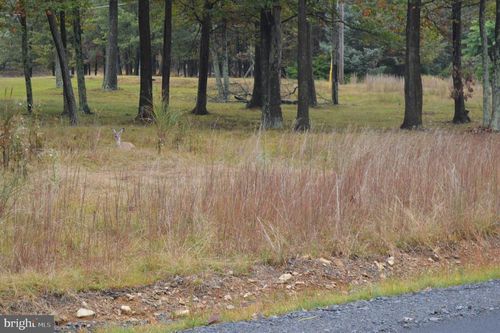 120 Glenn Eagles Dr, Hazle Township, PA, 18202-9532 | Card Image