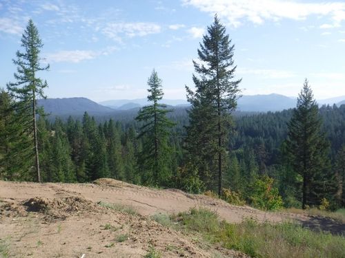 Lot 2 Moose Ridge Way, Loon Lake, WA, 99148 | Card Image