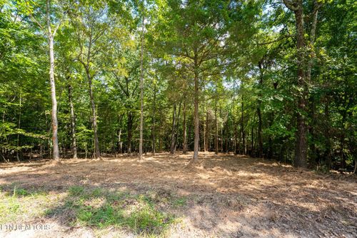 135 Pinecrest Dr, Loudon, TN, 37774-7523 | Card Image