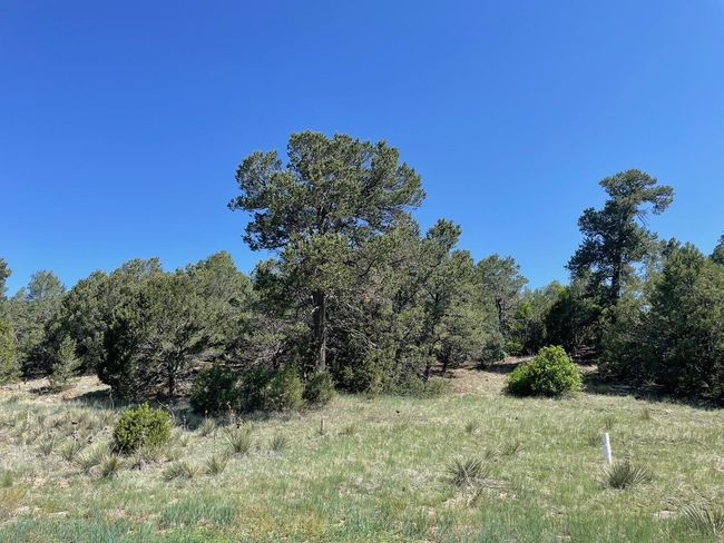 5 Yucca Flats Rd, Home with 0 bedrooms, 0 bathrooms and null parking in Tijeras NM | Image 8