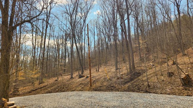 TRACT-2-PIKE-LAKE-GETAWA - 0 Pike Lake Rd, Home with 0 bedrooms, 0 bathrooms and null parking in Bainbridge OH | Image 11