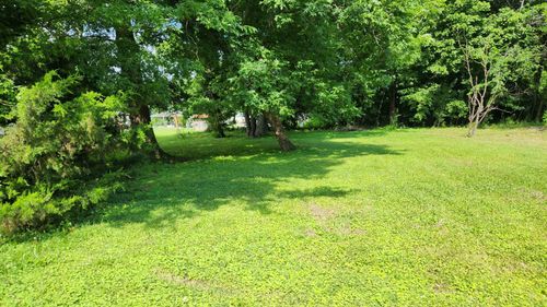0 Alexander St, Cherokee, AL, 35616 | Card Image