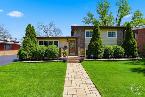 319 N Bradley Drive, Chicago Heights, IL, 60411 | Card Image