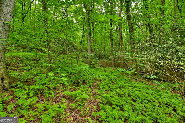 LOT 68 Toccoa Taquohee Trl, Home with 0 bedrooms, 0 bathrooms and null parking in Blue Ridge GA | Image 27