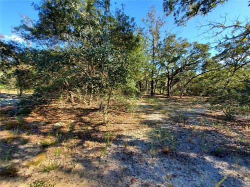 Lot 4 Sw Paradise Heights Rd, DUNNELLON, FL, 34431 | Card Image