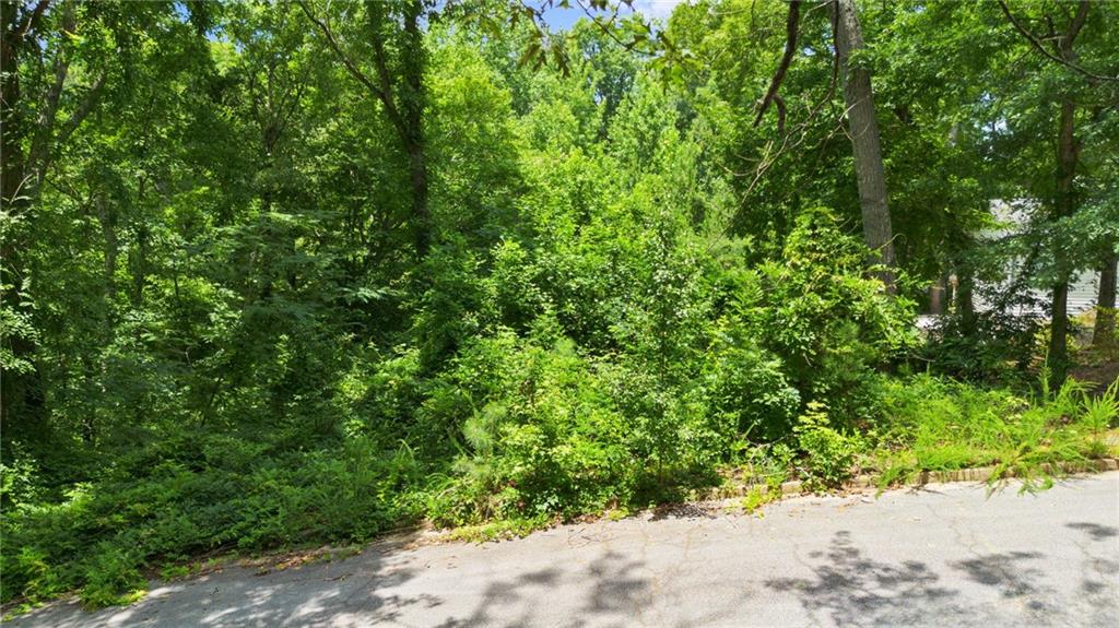 Land in Douglasville 2