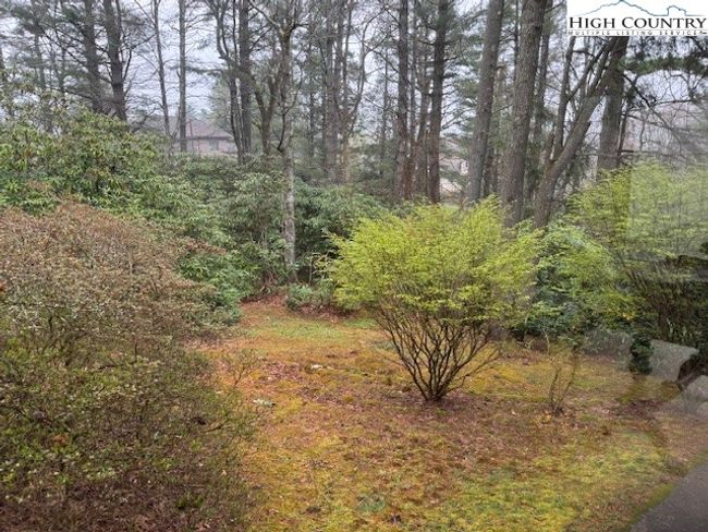 115 Edgewood Path, House other with 3 bedrooms, 3 bathrooms and null parking in Blowing Rock NC | Image 6