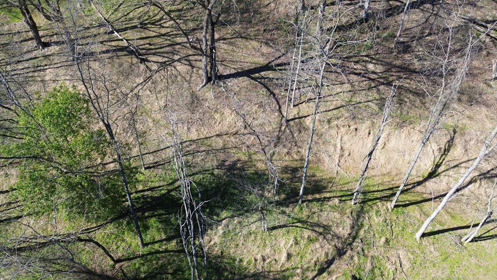 Land in Smithville 5