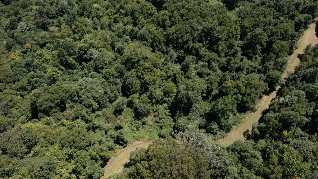 Land in Waynesville 2