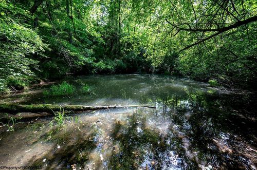 Lot 1 Hecks Run Rd, Rivesville, WV, 26588-8735 | Card Image