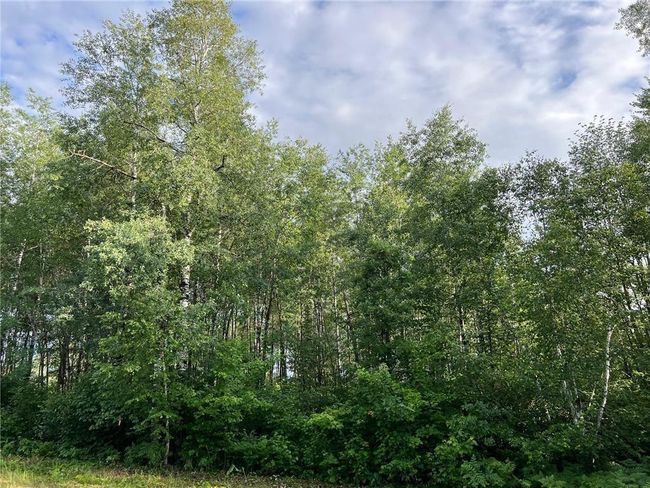 W39XX Frog Creek Rd, Home with 0 bedrooms, 0 bathrooms and null parking in MINONG WI | Image 17