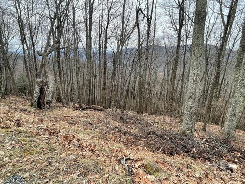 102 Flame Azalea Ln, Mars Hill, NC, 28754-4509 | Card Image