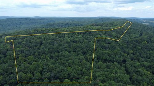 20988 Chimney Field Rd, Winslow, AR, 72959-8088 | Card Image