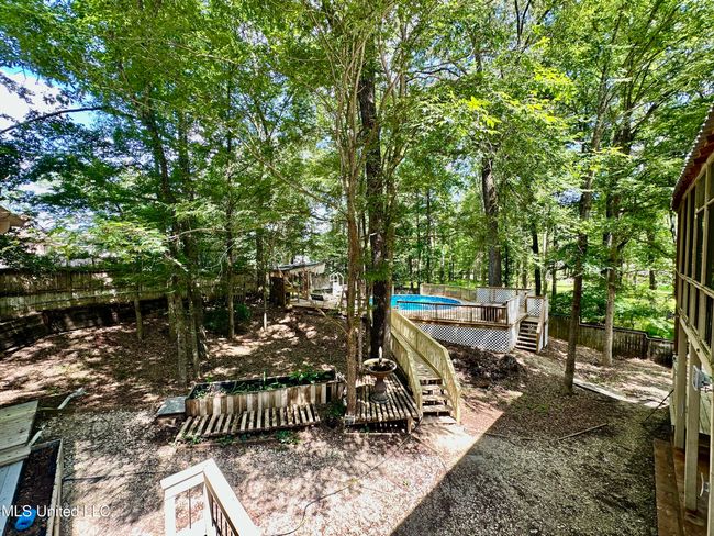backyard | Image 61