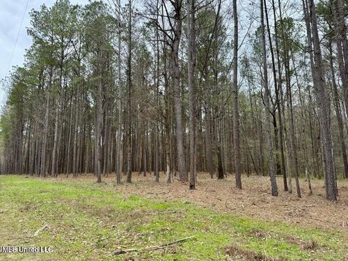 1 Robinson Rd, Canton, MS, 39046 | Card Image