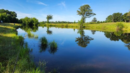 890 Mustang Dr, Longview, TX, 75605 | Card Image