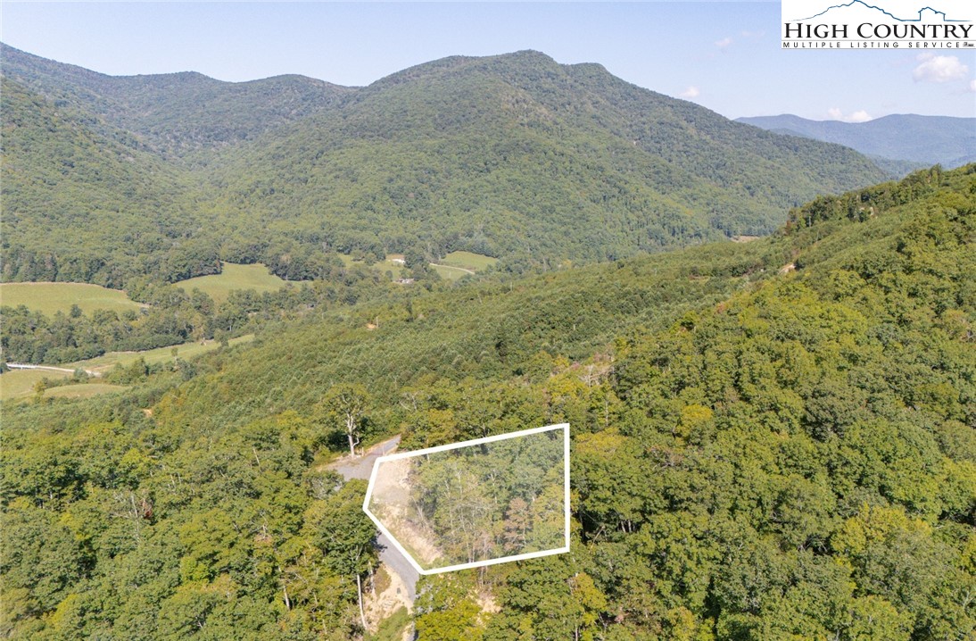 Land in Spruce Pine
