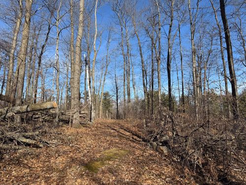 TBD Marble Drive, Cushing, MN, 56475 | Card Image