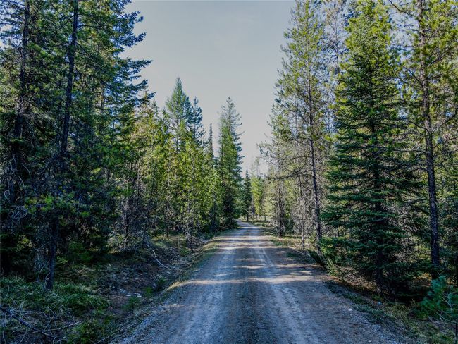 View of dirt / gravel road featuring a wooded view | Image 47