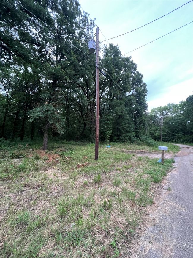 View of yard featuring a forest view | Image 5
